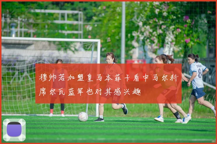 穆帅若加盟皇马本菲卡看中马尔科席尔瓦蓝军也对其感兴趣