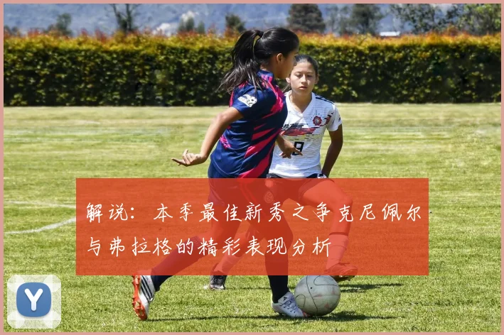 解说：本季最佳新秀之争克尼佩尔与弗拉格的精彩表现分析